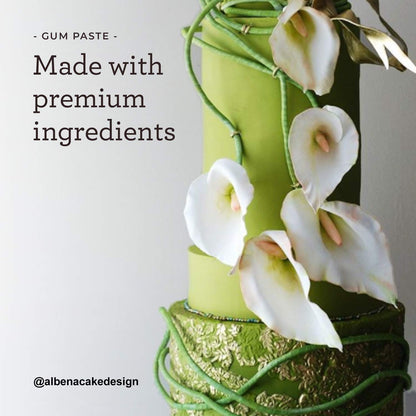 Satin Ice Gum Paste for Cake Decorating, White (2 Pound)